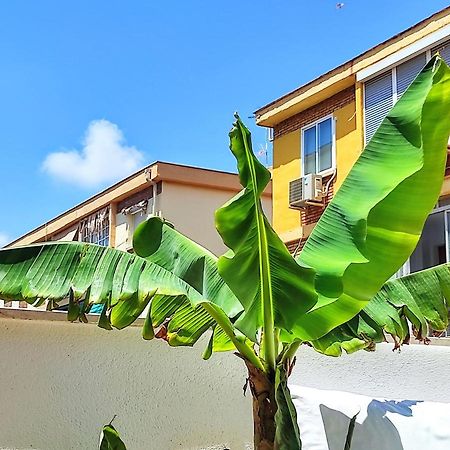 Manuela Nogales Apartments! Málaga Dış mekan fotoğraf