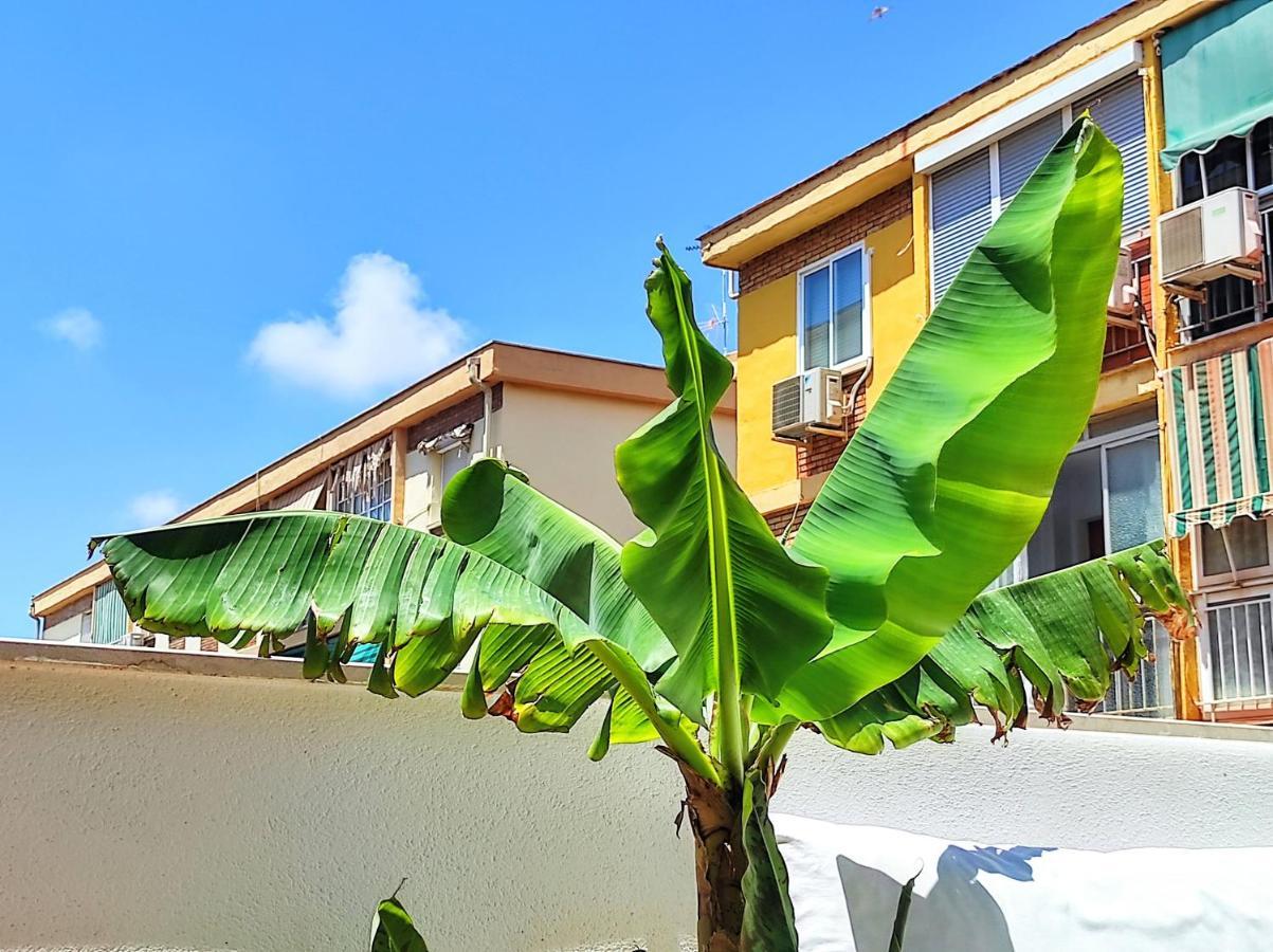 Manuela Nogales Apartments! Málaga Dış mekan fotoğraf